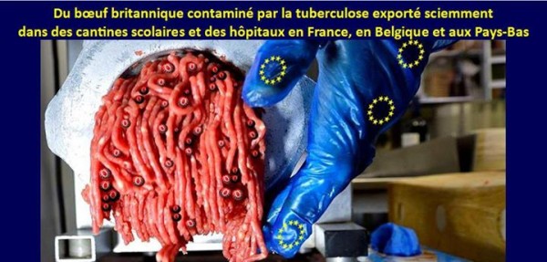scandale-sanitaire-boeuf