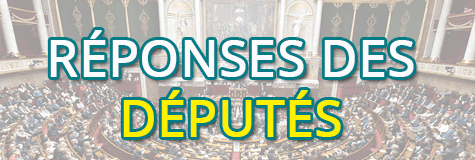 Réponses des députés