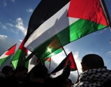 palestine-642x350